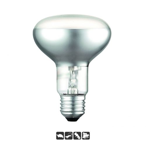 Reptile Halogen Heating Bulb Daylight Basking Spot Light for Chameleon Tortoise Snake Frog R63 25W 50W R80 75W 100W 