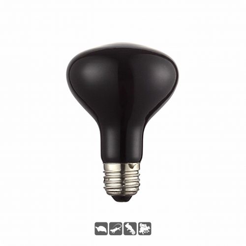 Reptile Halogen Moonlight Heating Bulb for Chameleon Tortoise Snake Frog R63 25W 50W R80 75W 100W 