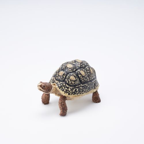 Simulated Turtle - Style 1