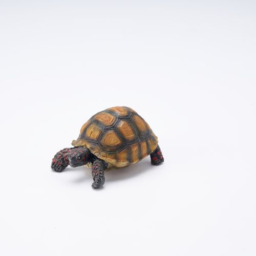 Simulated Turtle - Style 3
