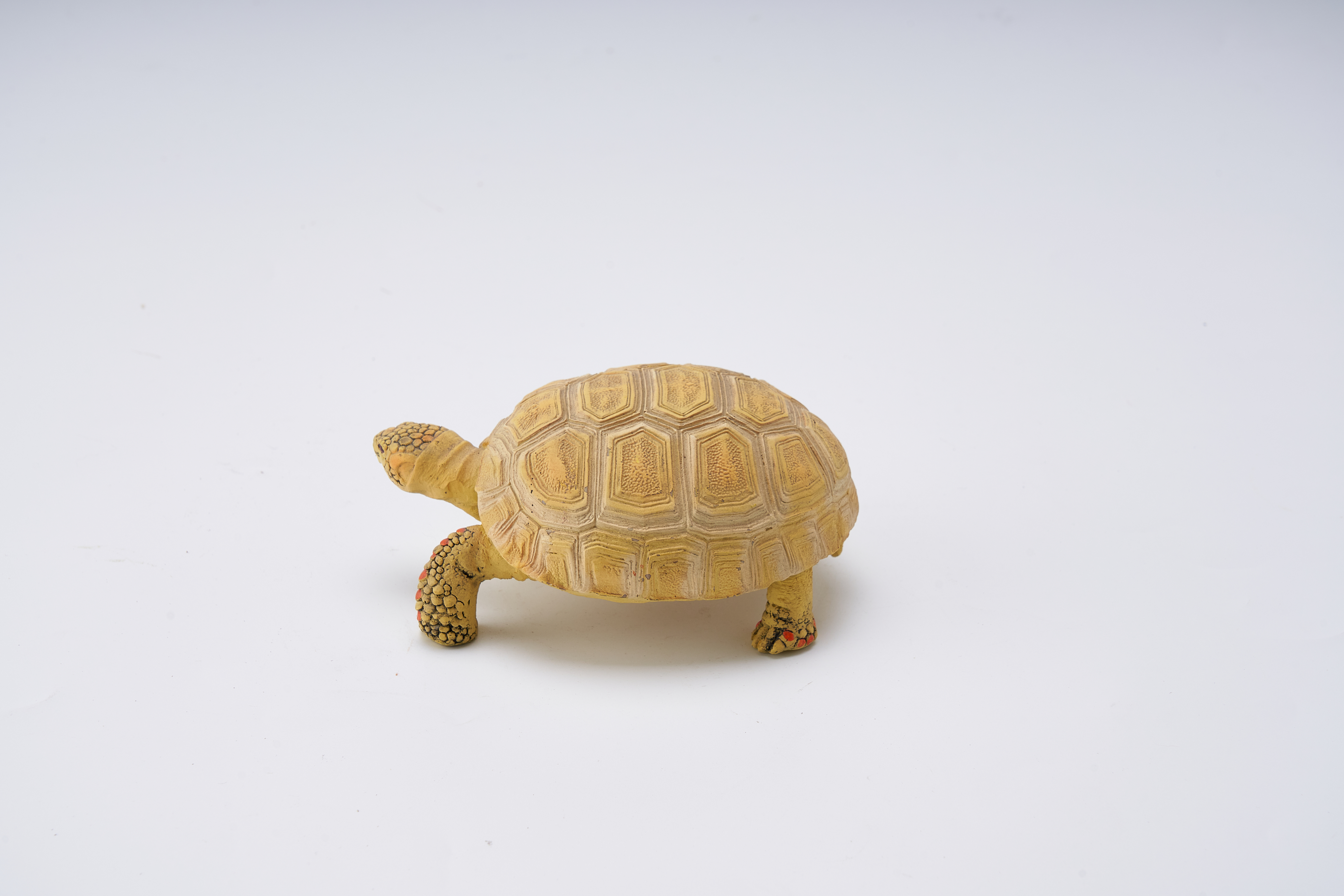 Simulated Turtle - Style 6