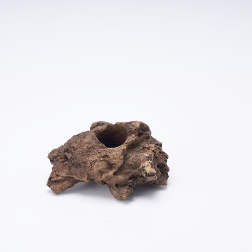 Climbing pet tree roots, avoiding caves, breeding caves