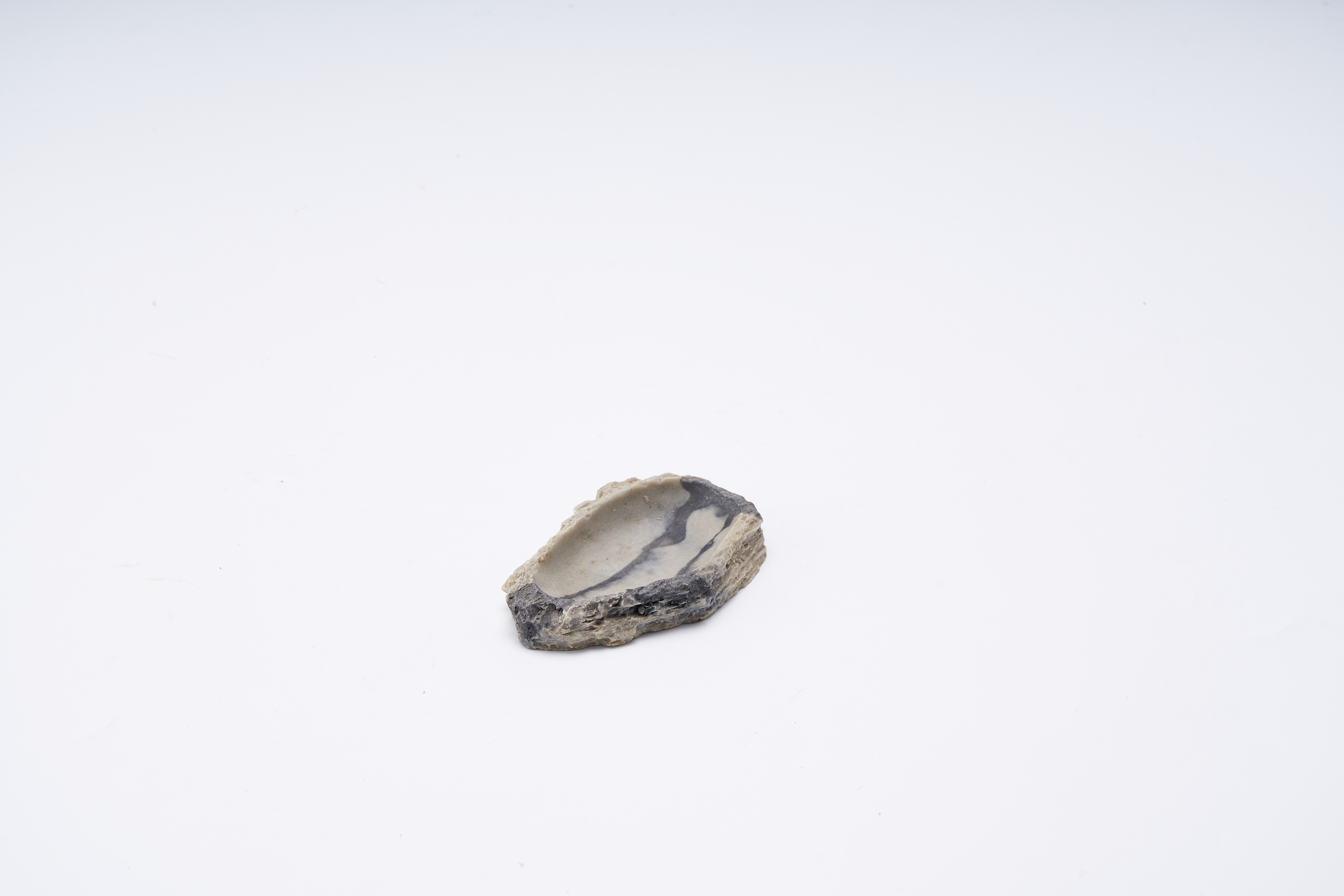 Crawling Pet Crawler Simulation Rock Small Water Basin Food Basin -2