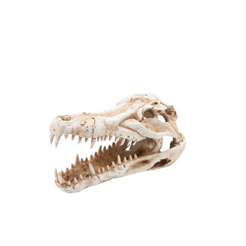 Simulated animal skull decoration design, pet hiding hole -2
