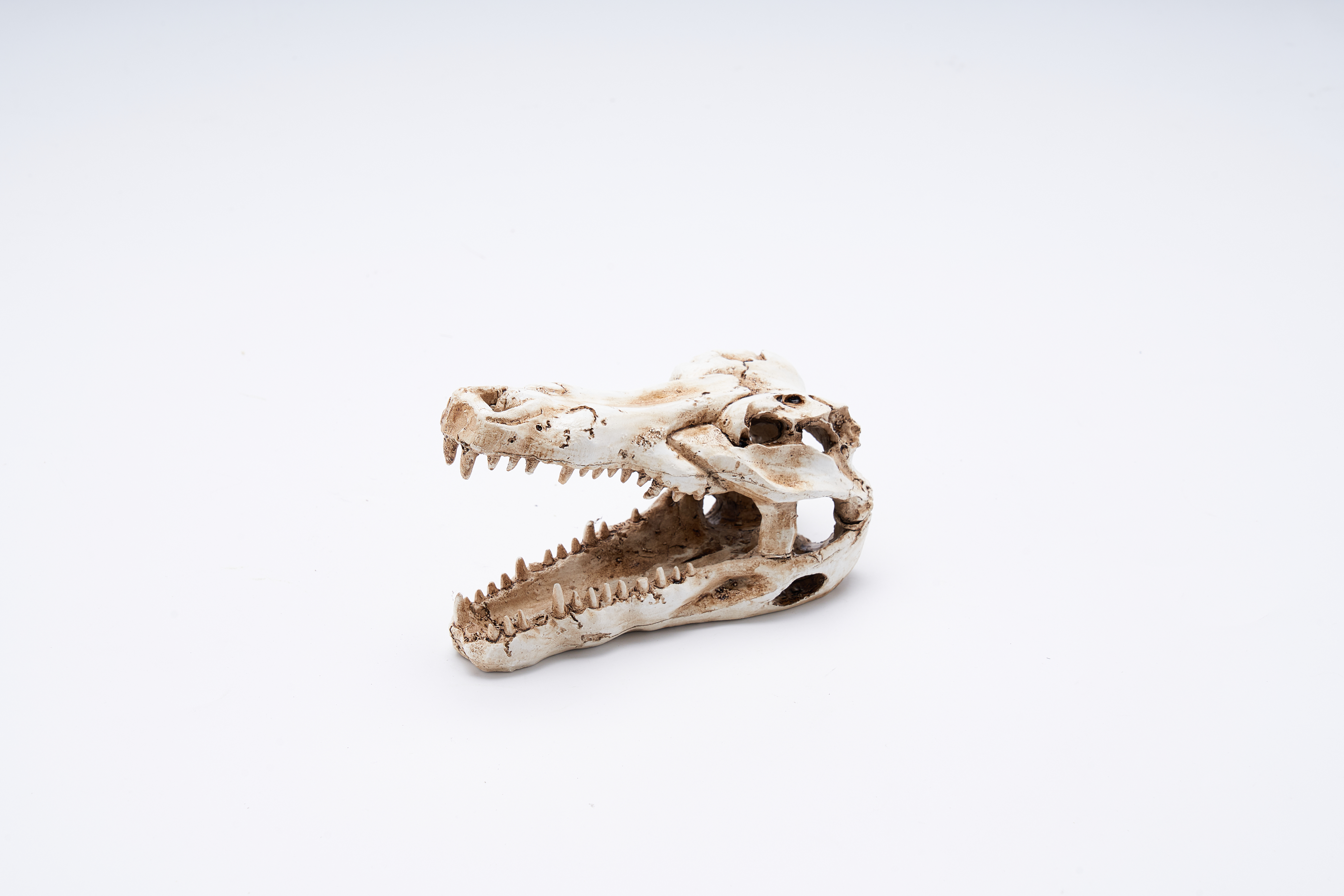Simulation animal small skull decoration design, pet hiding hole -2
