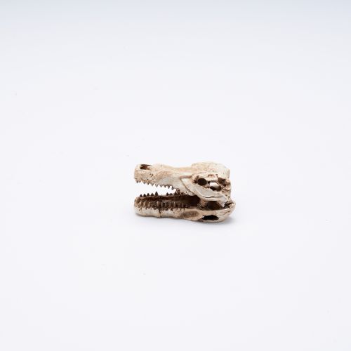 Simulation animal small skull decoration design, pet hiding hole -2（1）