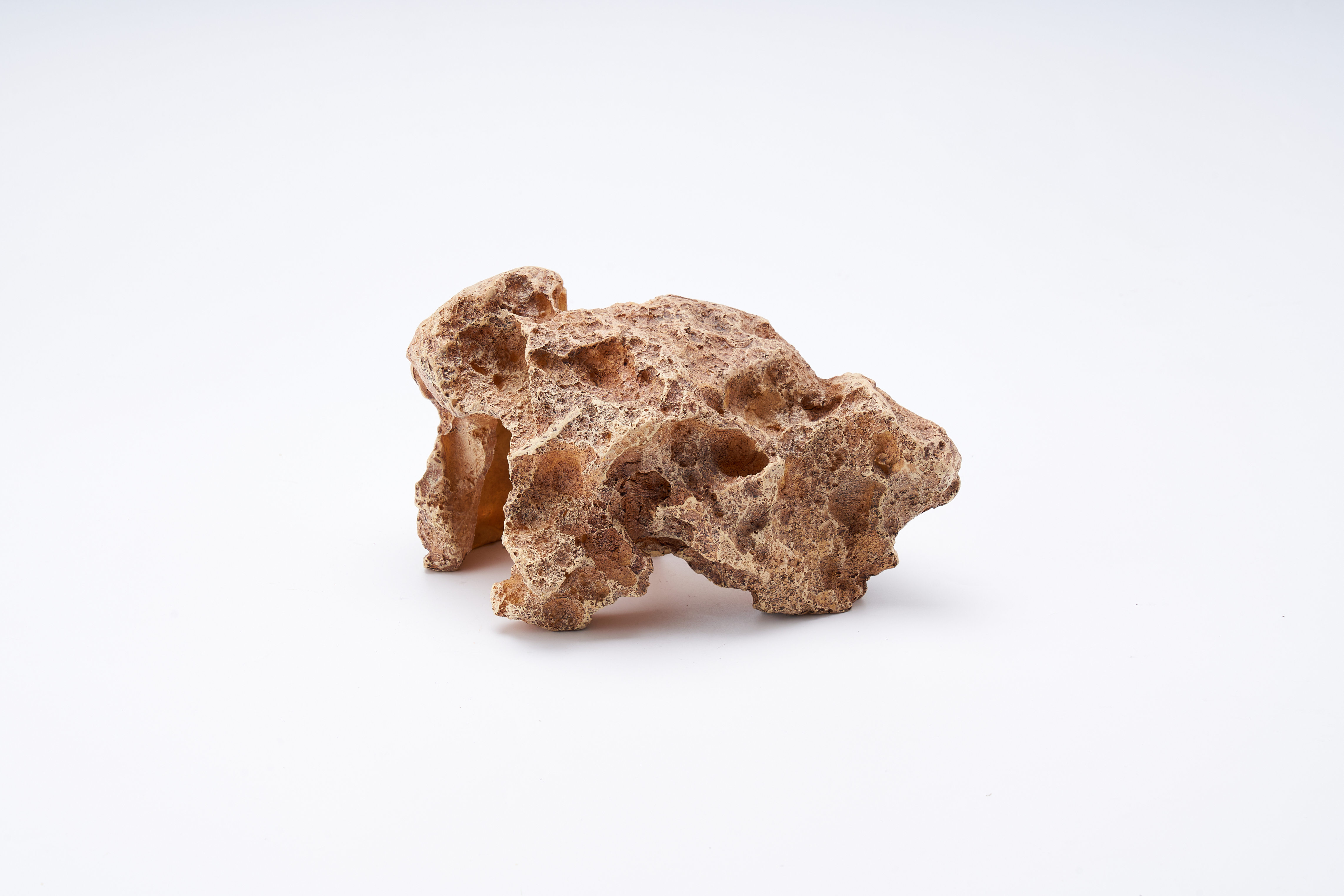 Crawlers climb pet rocks to avoid holes, climb sun platforms