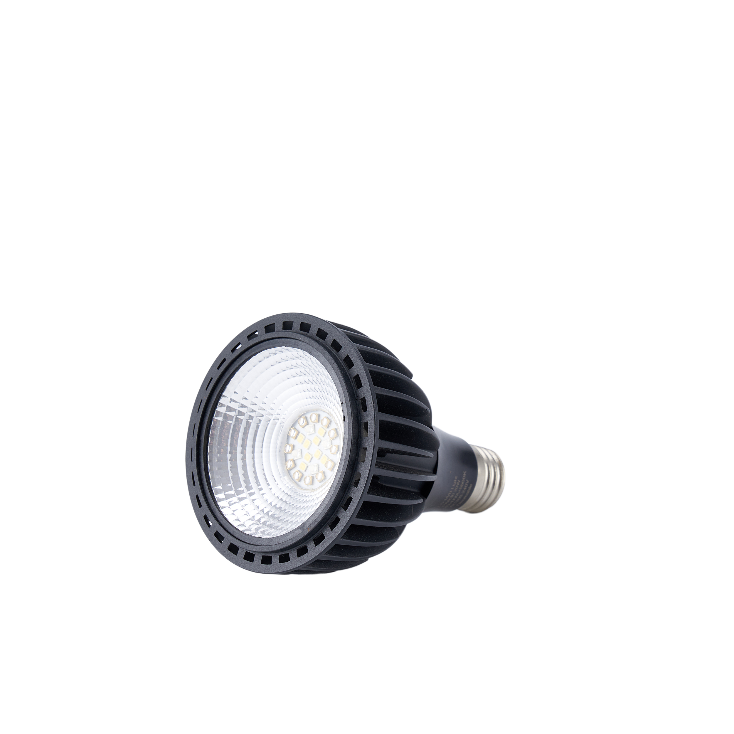Full spectrum LED bulb fill light-1